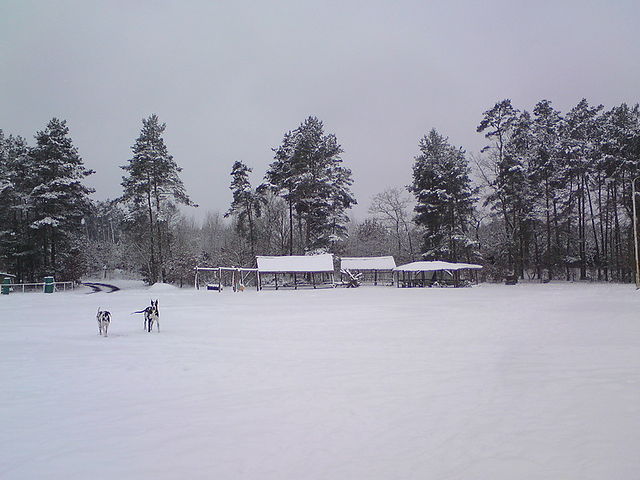 Zima na całego